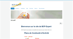 Desktop Screenshot of bcp-expert.com