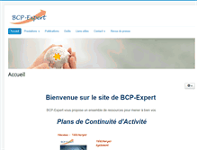 Tablet Screenshot of bcp-expert.com